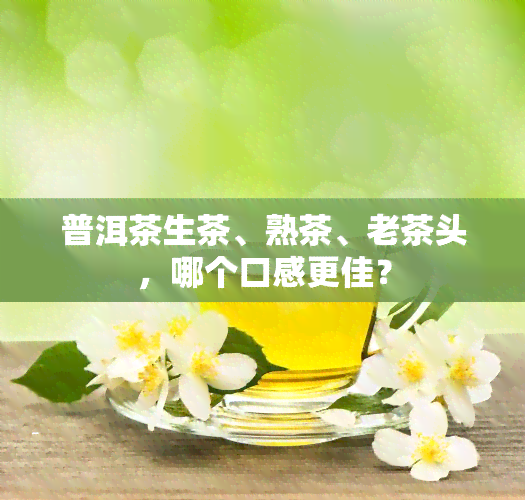 普洱茶生茶、熟茶、老茶头，哪个口感更佳？