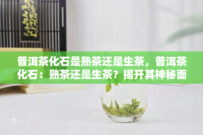 普洱茶化石是熟茶还是生茶，普洱茶化石：熟茶还是生茶？揭开其神秘面纱