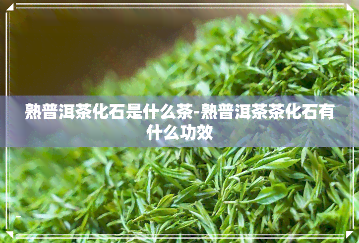 熟普洱茶化石是什么茶-熟普洱茶茶化石有什么功效