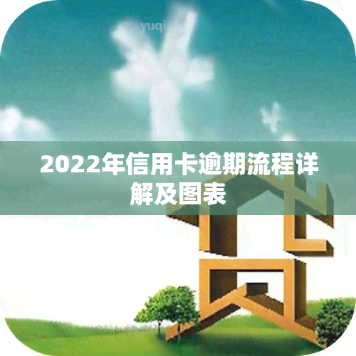 2022年信用卡逾期流程详解及图表