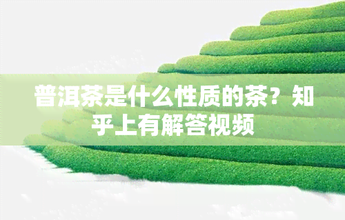 普洱茶是什么性质的茶？知乎上有解答视频