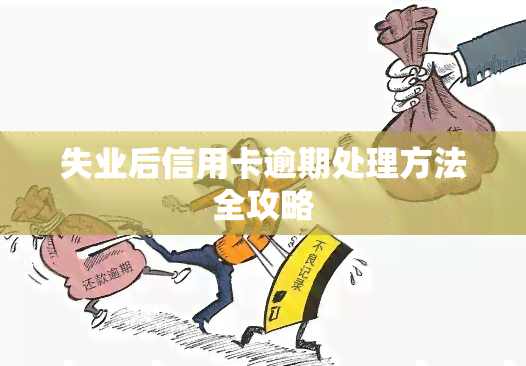 失业后信用卡逾期处理方法全攻略