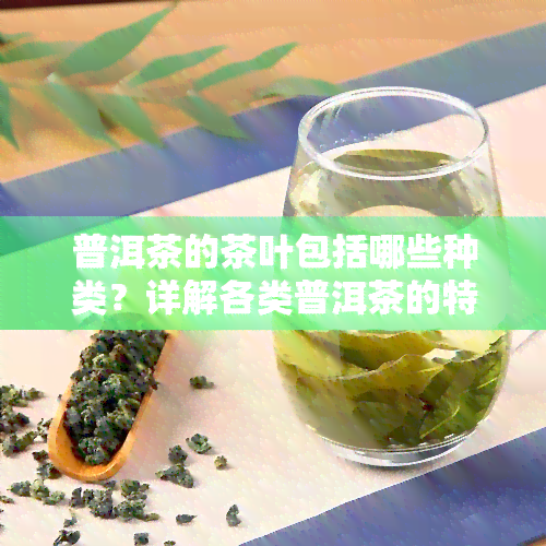 普洱茶的茶叶包括哪些种类？详解各类普洱茶的特点与分类