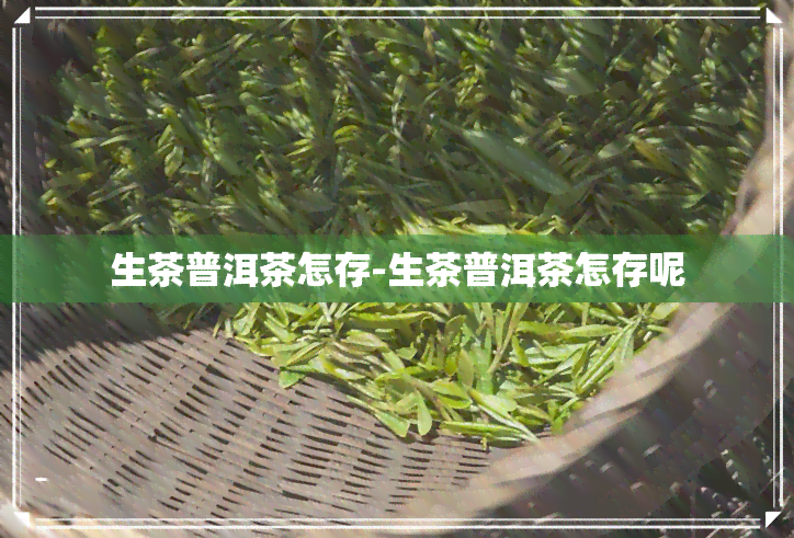 生茶普洱茶怎存-生茶普洱茶怎存呢