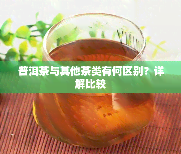 普洱茶与其他茶类有何区别？详解比较