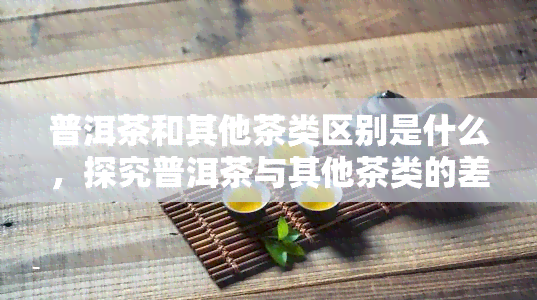 普洱茶和其他茶类区别是什么，探究普洱茶与其他茶类的差异之处