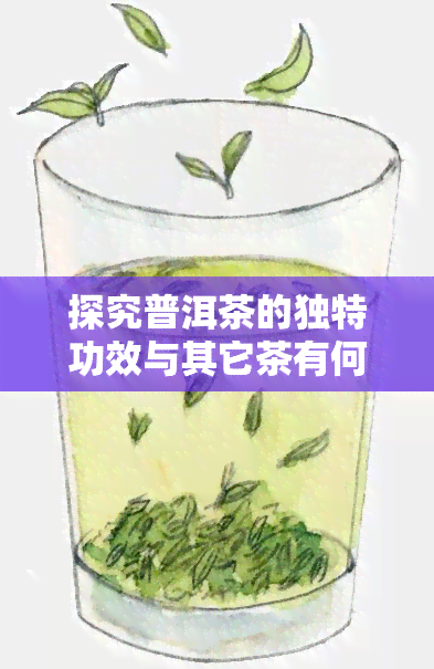 探究普洱茶的独特功效与其它茶有何不同