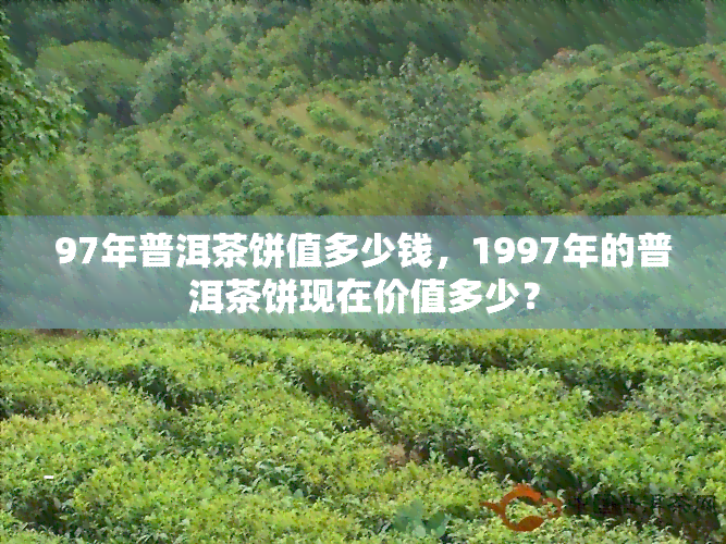 97年普洱茶饼值多少钱，1997年的普洱茶饼现在价值多少？