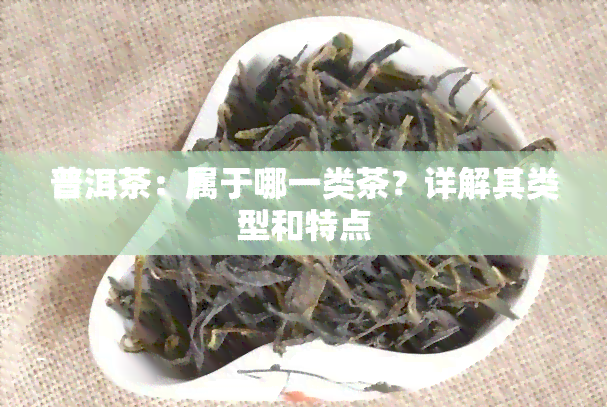 普洱茶：属于哪一类茶？详解其类型和特点