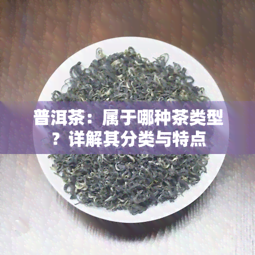 普洱茶：属于哪种茶类型？详解其分类与特点