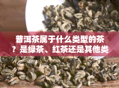 普洱茶属于什么类型的茶？是绿茶、红茶还是其他类型？