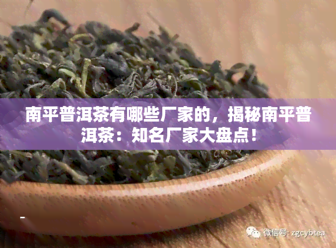 南平普洱茶有哪些厂家的，揭秘南平普洱茶：知名厂家大盘点！