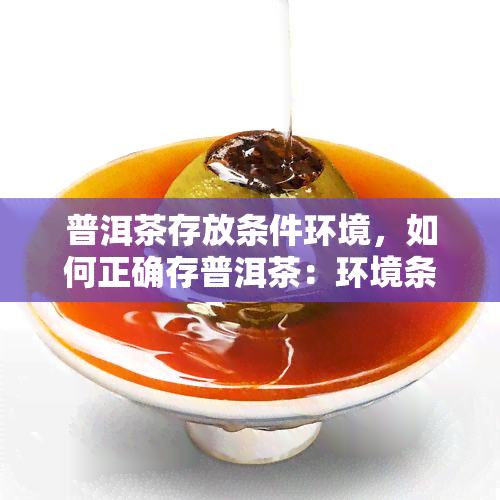 普洱茶存放条件环境，如何正确存普洱茶：环境条件的重要性