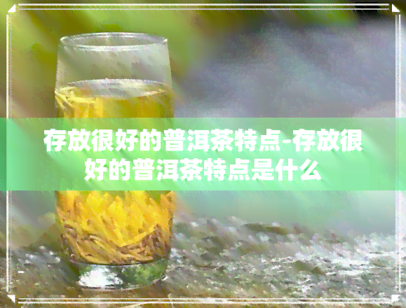 存放很好的普洱茶特点-存放很好的普洱茶特点是什么