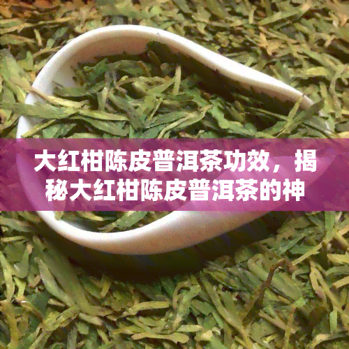 大红柑陈皮普洱茶功效，揭秘大红柑陈皮普洱茶的神奇功效！