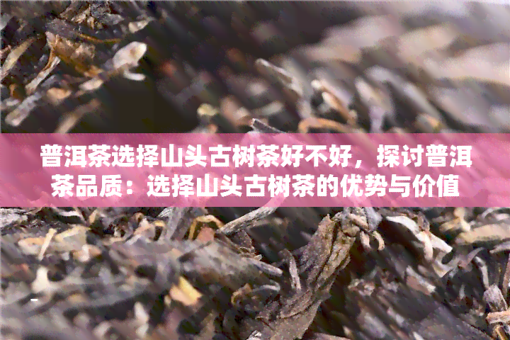 普洱茶选择山头古树茶好不好，探讨普洱茶品质：选择山头古树茶的优势与价值