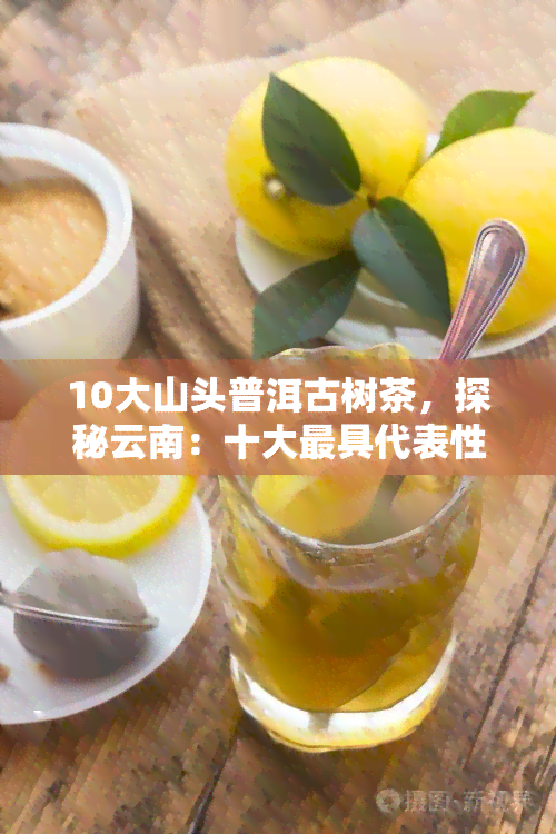 10大山头普洱古树茶，探秘云南：十大更具代表性的山头普洱古树茶园