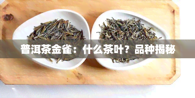 普洱茶金雀：什么茶叶？品种揭秘