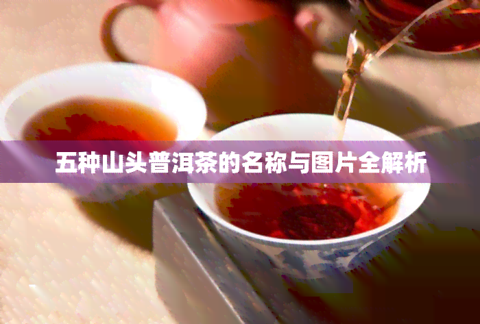 五种山头普洱茶的名称与图片全解析