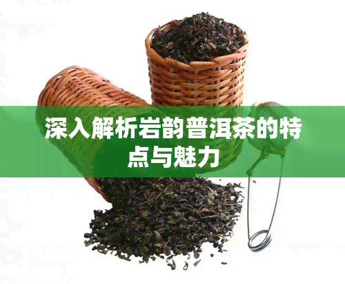 深入解析岩韵普洱茶的特点与魅力