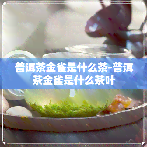 普洱茶金雀是什么茶-普洱茶金雀是什么茶叶