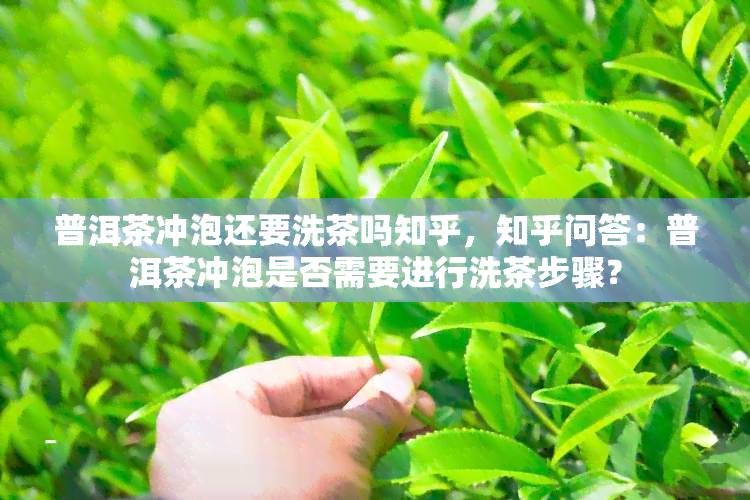 普洱茶冲泡还要洗茶吗知乎，知乎问答：普洱茶冲泡是否需要进行洗茶步骤？