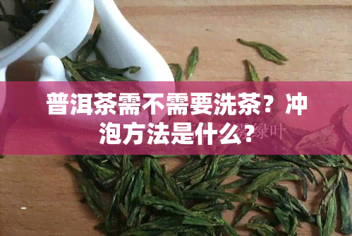 普洱茶需不需要洗茶？冲泡方法是什么？