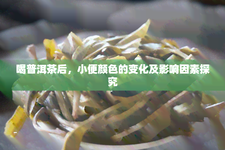 喝普洱茶后，小便颜色的变化及影响因素探究