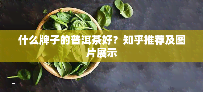 什么牌子的普洱茶好？知乎推荐及图片展示