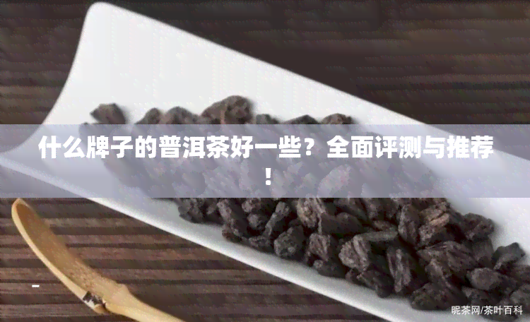 什么牌子的普洱茶好一些？全面评测与推荐！