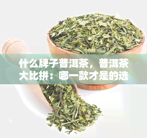 什么牌子普洱茶，普洱茶大比拼：哪一款才是的选择？