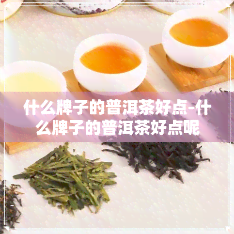 什么牌子的普洱茶好点-什么牌子的普洱茶好点呢