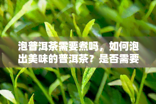 泡普洱茶需要煮吗，如何泡出美味的普洱茶？是否需要煮？