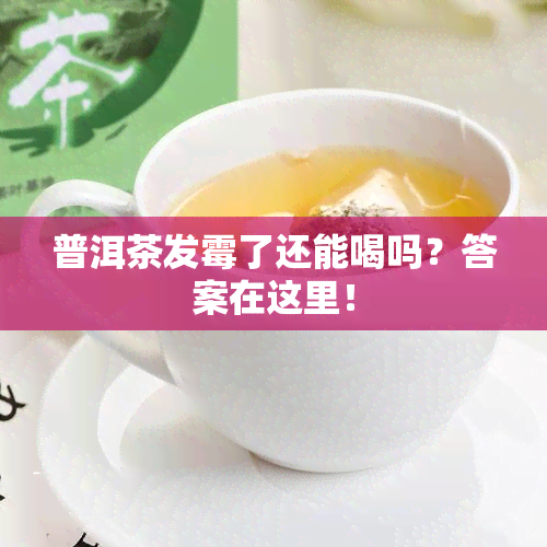 普洱茶发霉了还能喝吗？答案在这里！