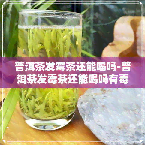 普洱茶发霉茶还能喝吗-普洱茶发霉茶还能喝吗有吗