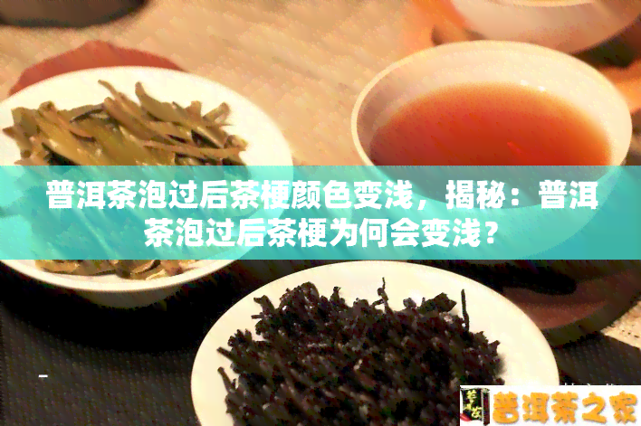 普洱茶泡过后茶梗颜色变浅，揭秘：普洱茶泡过后茶梗为何会变浅？