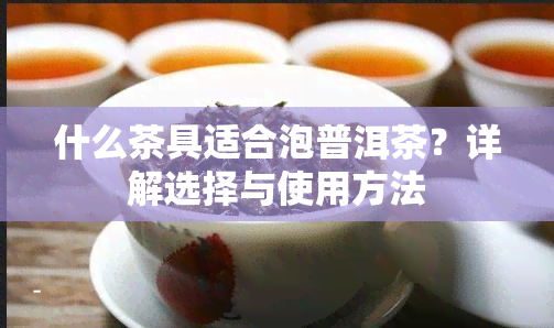 什么茶具适合泡普洱茶？详解选择与使用方法