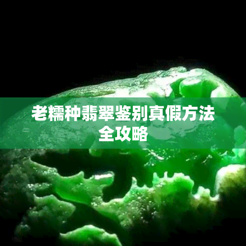 老糯种翡翠鉴别真假方法全攻略