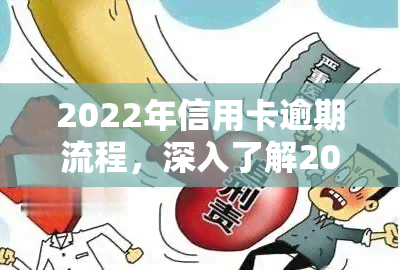 2022年信用卡逾期流程，深入了解2022年信用卡逾期流程：步骤、影响与解决办法