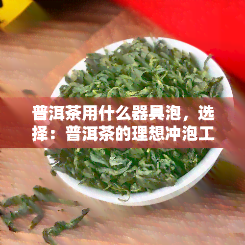 普洱茶用什么器具泡，选择：普洱茶的理想冲泡工具是什么？