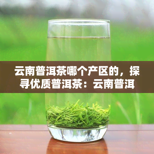 云南普洱茶哪个产区的，探寻优质普洱茶：云南普洱茶各产区口感及特点解析