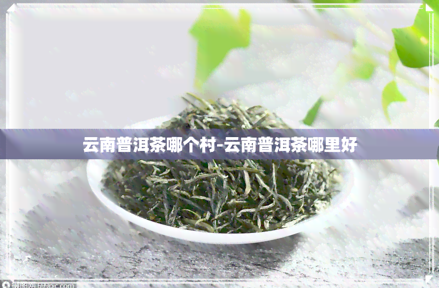 云南普洱茶哪个村-云南普洱茶哪里好