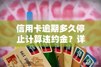 信用卡逾期多久停止计算违约金？详解及计算方法