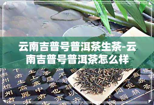 云南吉普号普洱茶生茶-云南吉普号普洱茶怎么样