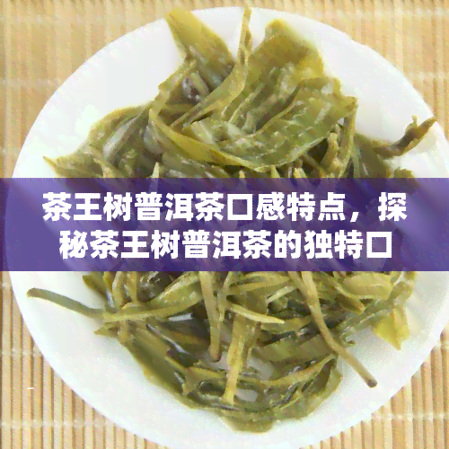 茶王树普洱茶口感特点，探秘茶王树普洱茶的独特口感特点