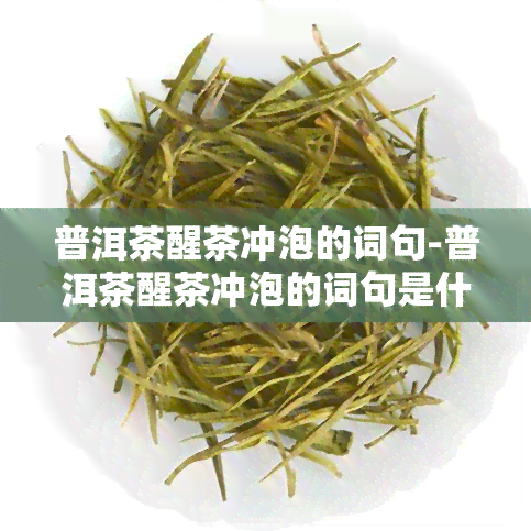 普洱茶醒茶冲泡的词句-普洱茶醒茶冲泡的词句是什么