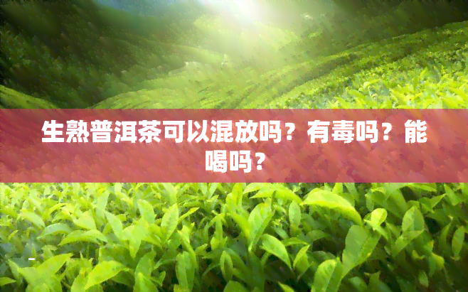 生熟普洱茶可以混放吗？有吗？能喝吗？