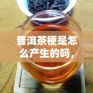 普洱茶梗是怎么产生的吗，揭秘普洱茶梗的来源与产生过程