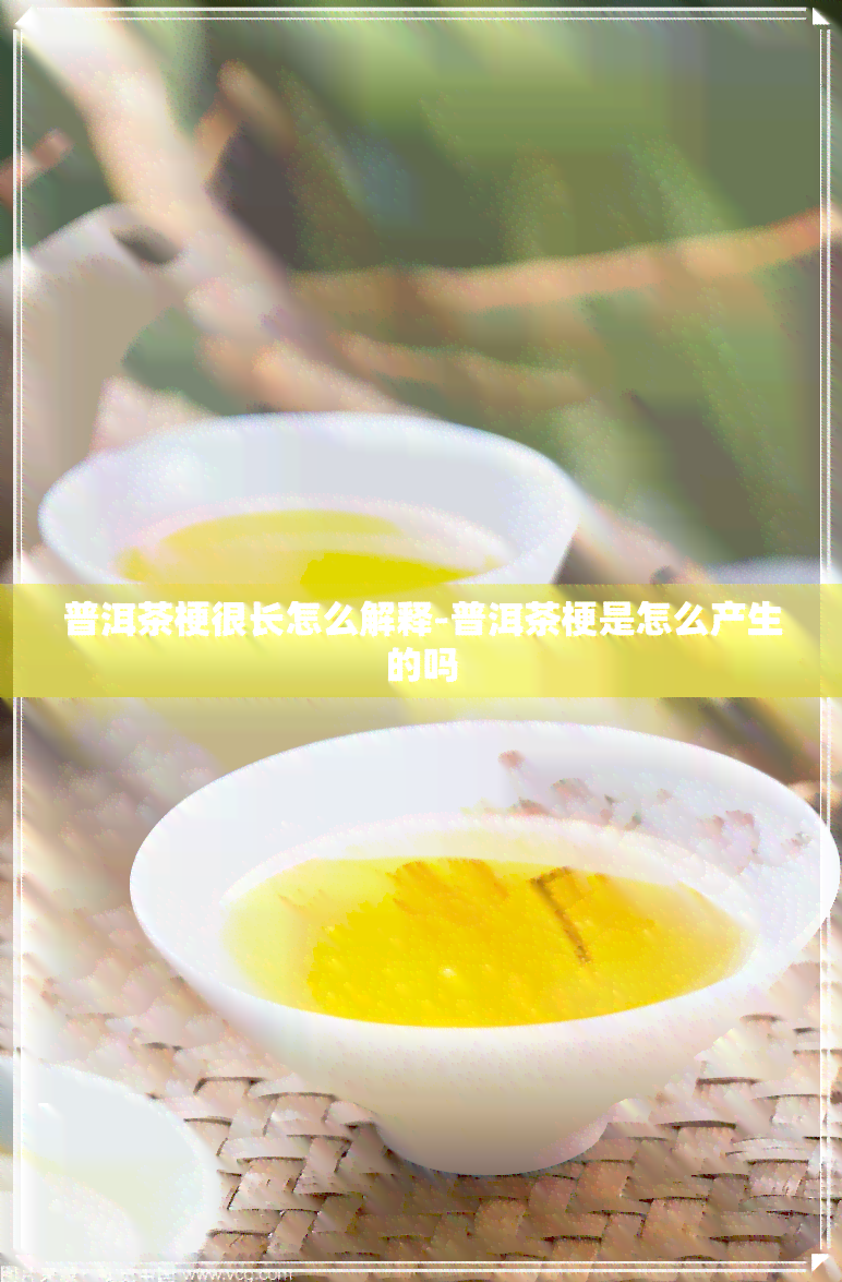 普洱茶梗很长怎么解释-普洱茶梗是怎么产生的吗