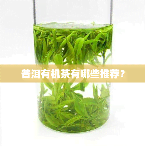 普洱有机茶有哪些推荐？